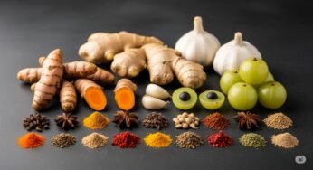 Boost Your Immunity Naturally: The Power of Traditional Indian Foods